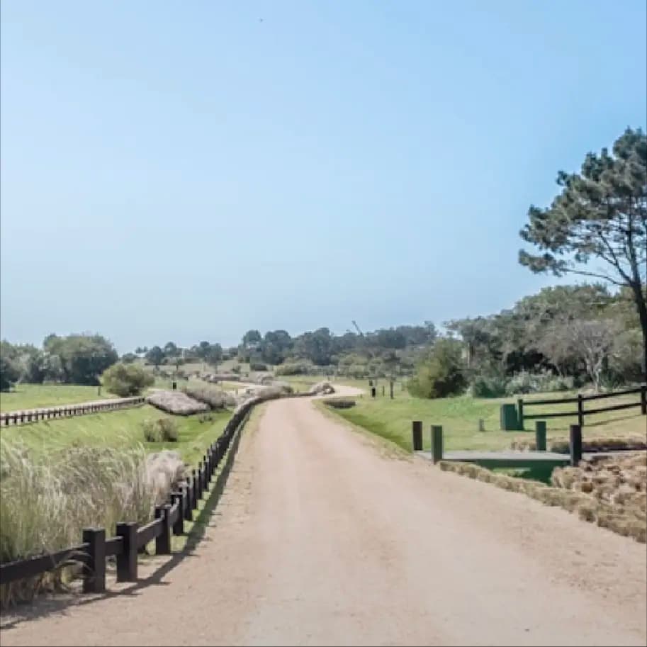 Alrededores