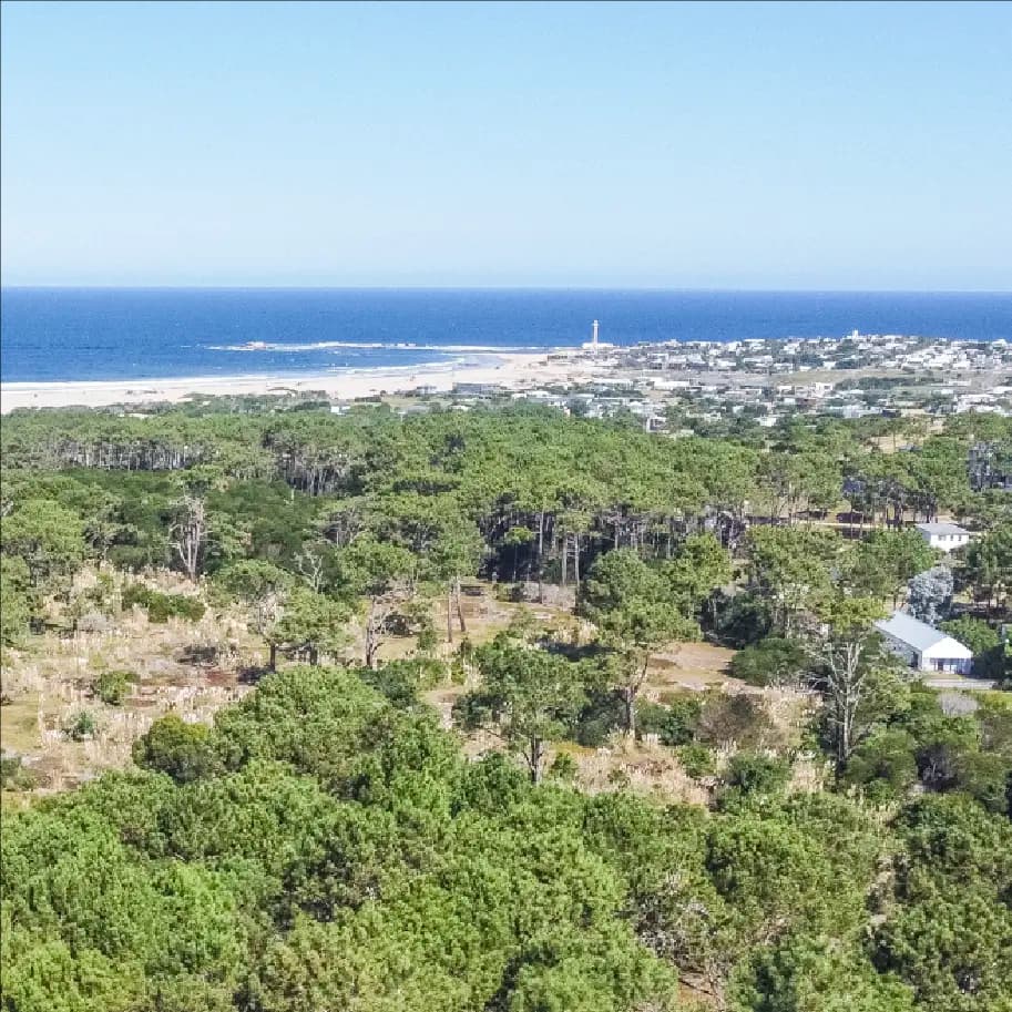 Pinar del Faro